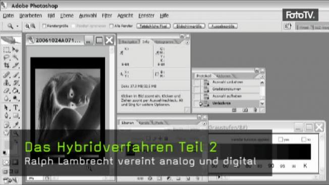 Das Hybridverfahren Teil 2