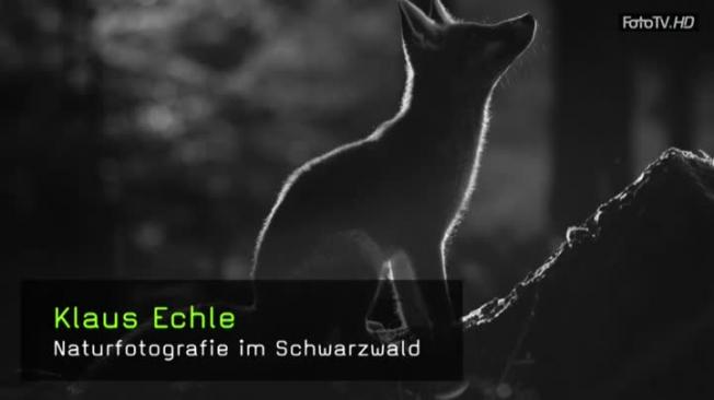 Klaus Echle - Naturfotografie im Schwarzwald