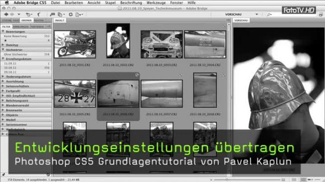 Entwicklungseinstellungen übertragen