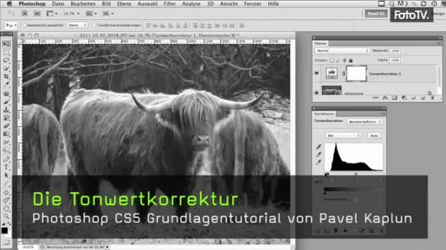 Belichtungskorrektur mit der Tonwertkorrektur