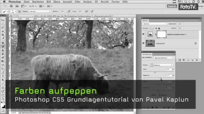 Farbsättigung erhöhen