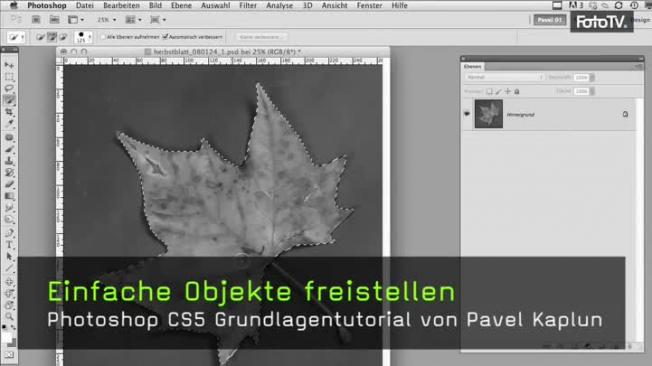 Schnellauswahlwerkzeug, Zauberstabwerkzeug