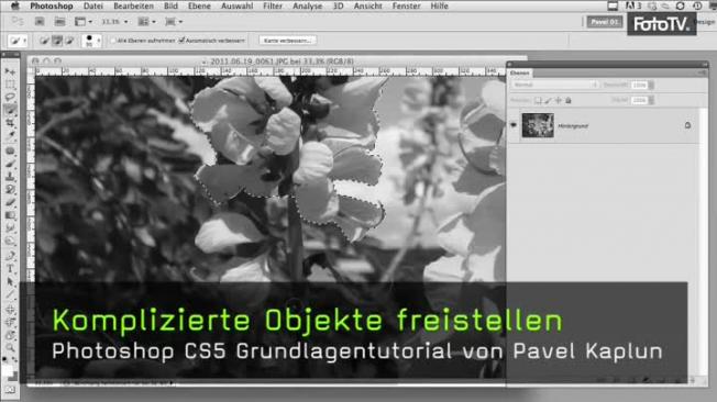 Freistellen mit dem Lasso