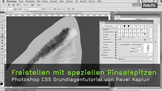 Freistellen mit Sternpinselspitze