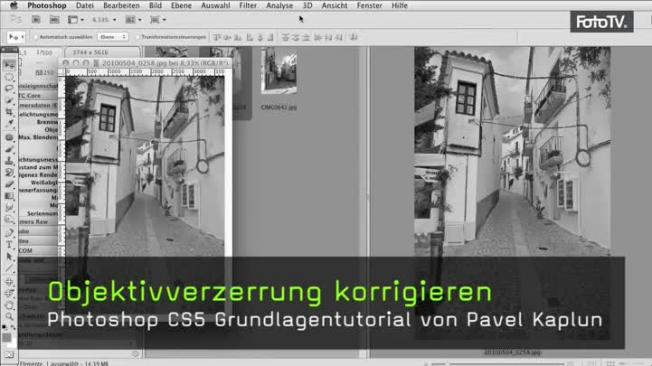 Objektivverzerrung entfernen