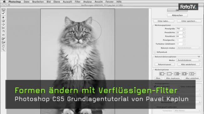Verflüssigen-Filter, Verzerren