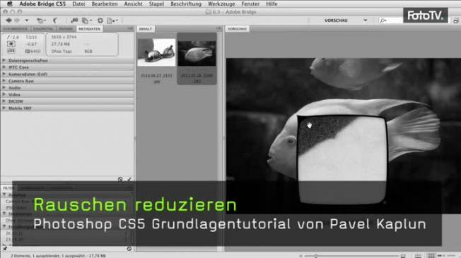 Bildrauschen entfernen