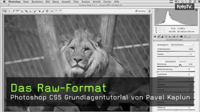 Raw-Format, Photoshop CS5
