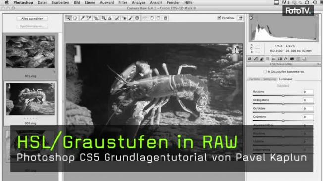HSL, Graustufen, Raw
