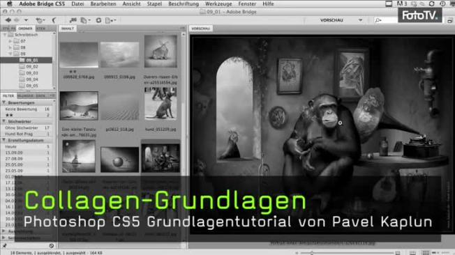 Collagen, Grundlagen