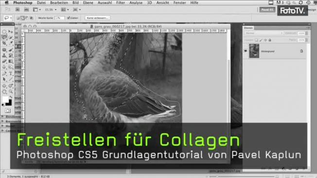 freistellen, collagen