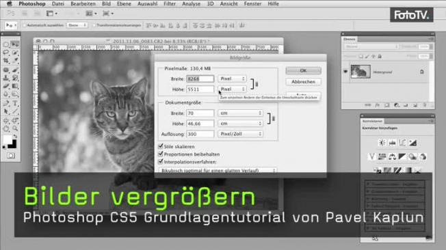 bilder, vergrößern