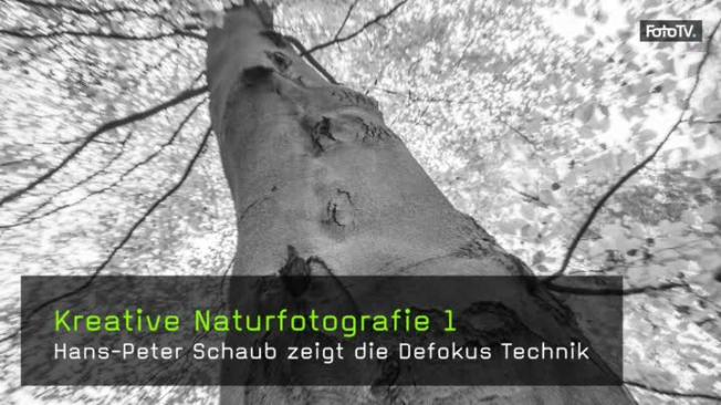 Hans Peter Schaub Landschaftsfotografie Waldfotografie Defokus Technik