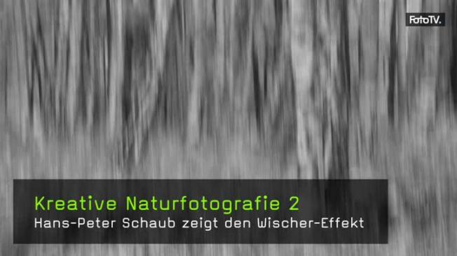 Landschaftsfotografie Waldfotografie Wischer Technik