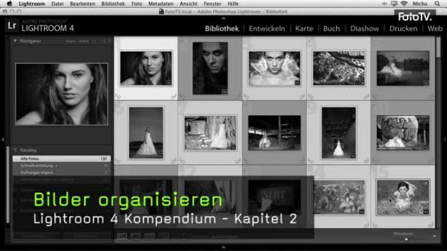 Bilder organisieren