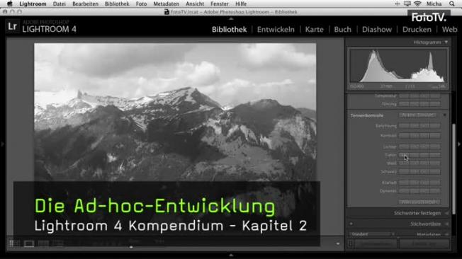 Ad-hoc-Entwicklung