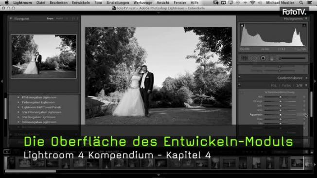 Oberfläche Entwickeln-Modul