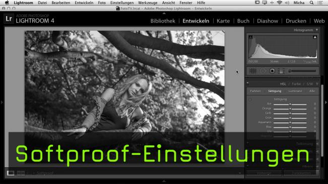 Softproof-Einstellungen