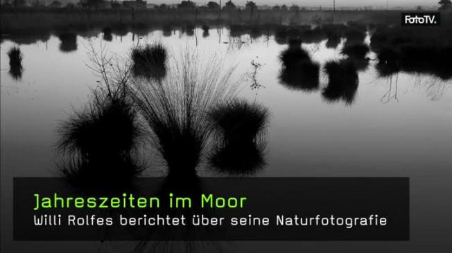 Willi Rolfes Moor fotografieren