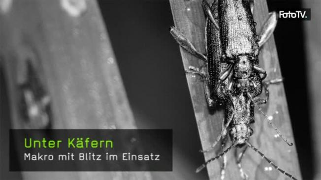 209-unter-kaefern-teaser-k.jpg