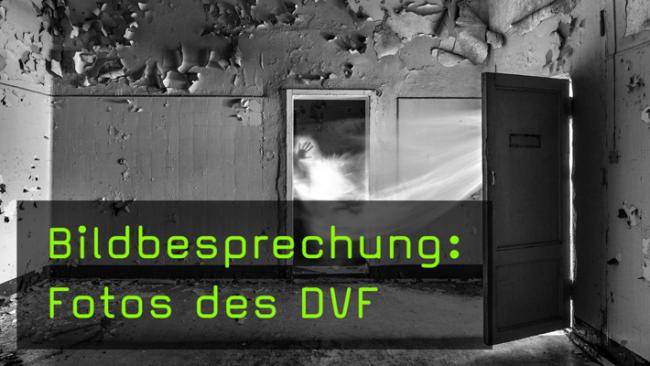 DVF Fotos in der Bildkritik