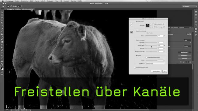Photoshop CC Tutorial