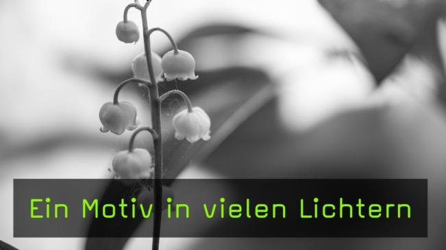 Ein Motiv in vielen Lichtern