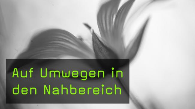 Auf Umwegen in den Nahbereich