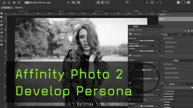 Develop persona