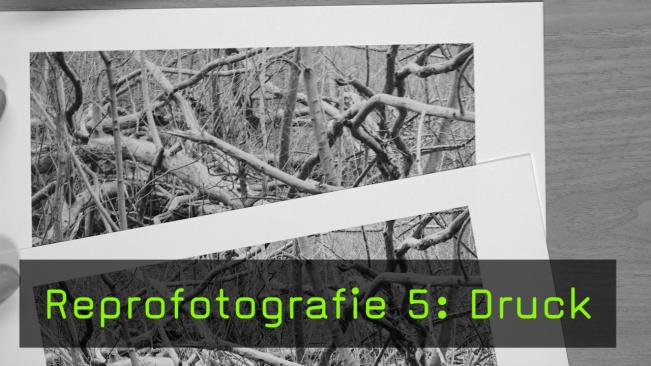 Reprofotografie 5: Druck