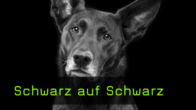 Schwarz auf Schwarz