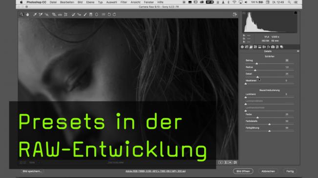 Presets in der RAW-Entwicklung