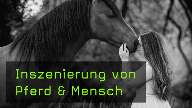 Pferd mit Mensch fotografieren