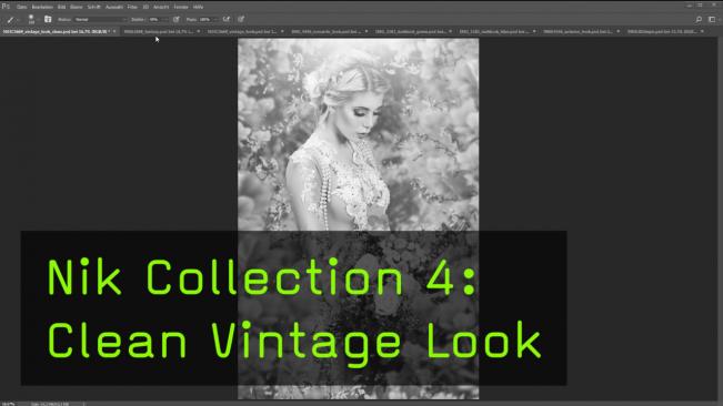 Nik Collection 4: Clean Vintage Look