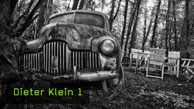 Dieter Klein - Forest Punk