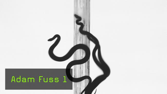 Adam Fuss - Teil 1