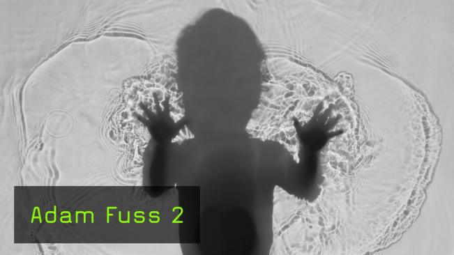 Adam Fuss - Teil 2