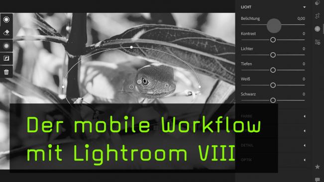 Lokale Korrekturen in Lightroom CC