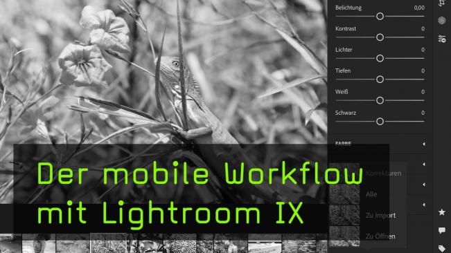 Vorgaben und Entwicklungseinstellungen in LR