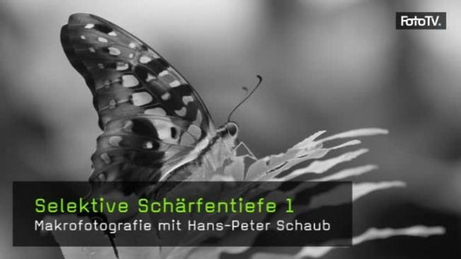 makrofotografie-schaub-naturfotografie