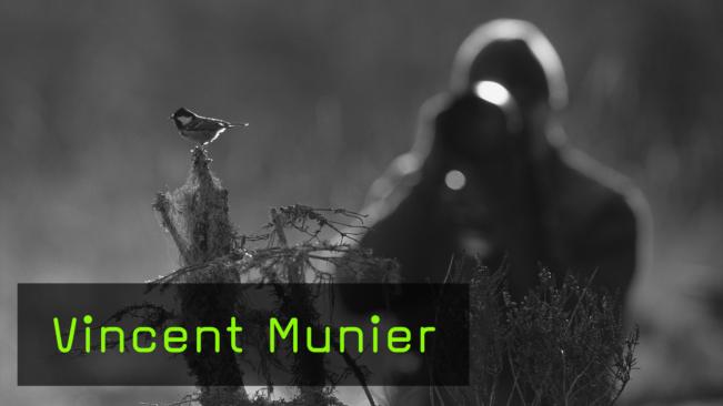 Vincent Munier