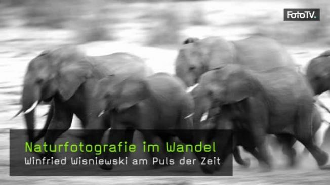 Naturfotograf Winfried Wisniewski