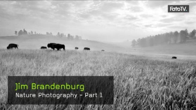 Nature Photography - Part 1