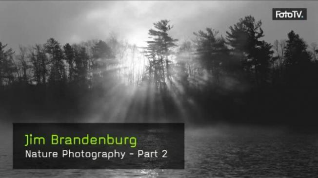 Nature Photography - Part 2