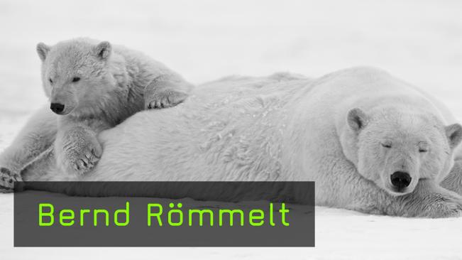 Naturfotograf Bernd Römmelt über Reisen in die nordische Wildnis
