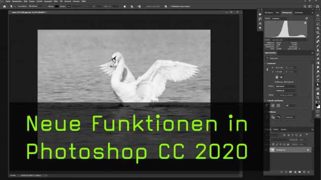 Änderungen in Photoshop CC 2020