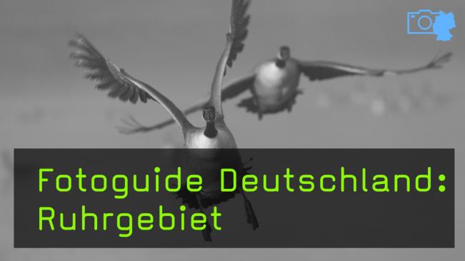 Naturfotografie im Ruhrgebiet