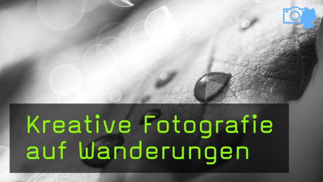 Kreative Naturfotografie im Nationalpark Eifel