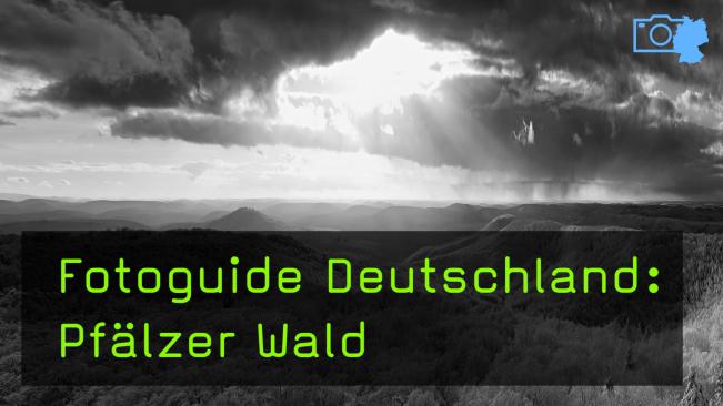 Naturfotografie im Pfälzer Wald mit Harald Kröher