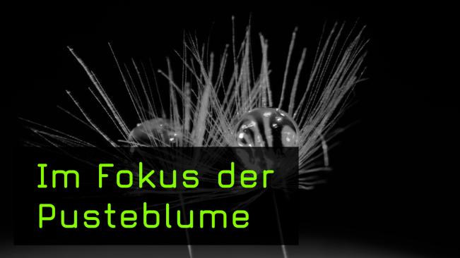 Stilllife Makrofotografie einer Pusteblume